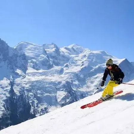 Aiglons - Mountain Haven Apartment Chamonix